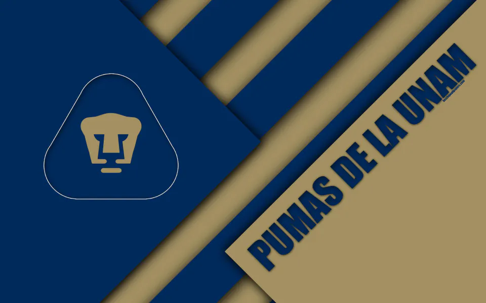 Pumas UNAM ve América de Cali Hazırlık Maçında Karşı Karşıya Geldi görseli