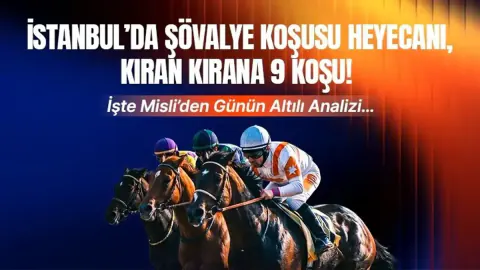 İstanbul Veliefendi'de Şövalye Koşusu Heyecanı: Günün Yarış Programı
