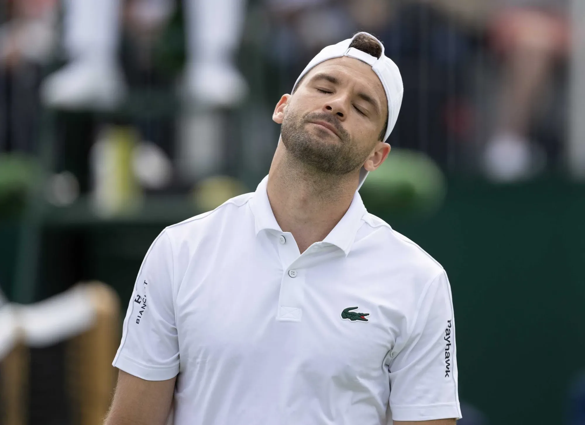 Grigor Dimitrov'dan Wimbledon'da Duygusal Dönüş: 'İnsanları Hayal Kırıklığına Uğratmak İstemiyorum' Grigor Dimitrov'dan Wimbledon'da Duygusal Dönüş: 'İnsanları Hayal Kırıklığına Uğratmak İstemiyorum'