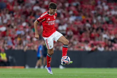 Benfica'da Rafael Obrador Bilmecesi: Torino'nun Kararı ve Transfer Seçenekleri