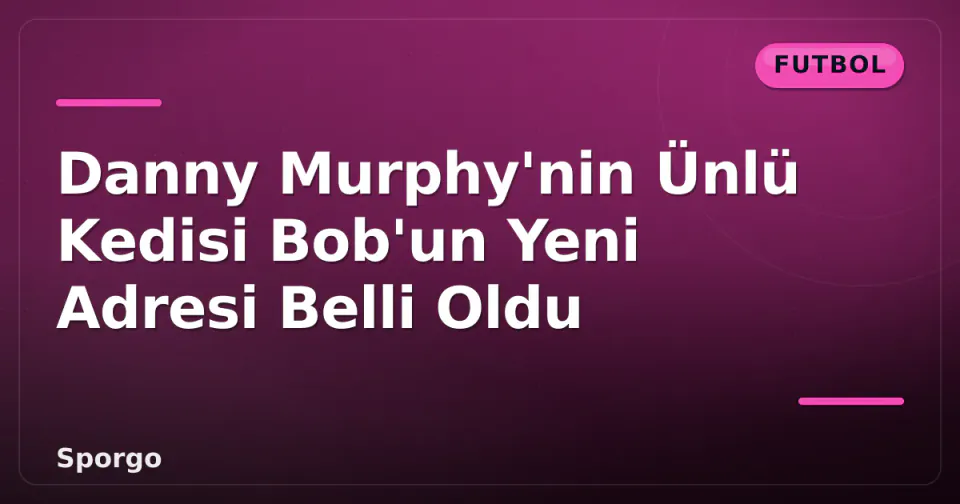 Danny Murphy'nin Ünlü Kedisi Bob'un Yeni Adresi Belli Oldu görseli